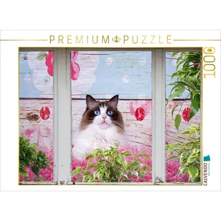 CALVENDO Puzzle EIN Motiv aus dem Kalender Samtpfoten Momente mit Shabby Chic & Vintage Flair 1000 Teile Puzzle quer | 1000 Teile Lege-Größe 64 x 48 cm Foto-Puzzle für glückliche Stunden