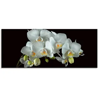 Artland Glasbild »Weiße Orchidee auf schwarzem Hintergrund« Blumen 1 Stk. tlg. in verschiedenen Größen, weiß