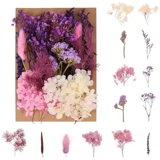 Halinuia Trockenblumen Violett für DIY, Epoxidharz, Basteln & Deko | Geeignet für Scrapbooking, Kerzenherstellung, Nagelkunst & Hochzeitsdeko. vielseitig für Handarbeiten