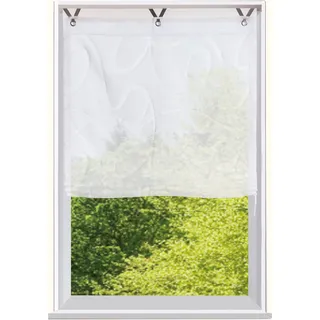 Bruno Banani Raffrollo »TILO« mit Hakenaufhängung transparent, Ausbrenner, gewebt, verschiedene Größen, weiß