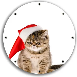 Wallario rundes Outdoor-Poster für Garten oder Balkon, Motiv Ich hasse Weihnachten - mürrische Katze mit Weihnachtsmütze, 30 cm Durchmesser - Weiß
