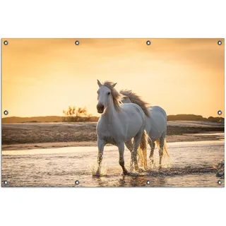Wallario Outdoor-Poster für Garten oder Balkon, Motiv Pferde im Abendlicht, in ca. 100 x 150 cm - Gelb
