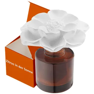 Earffloz ätherisches Öl und Diffusor Geschenkset, Zitrus in der Sonne (1.7 FL.oz|50ml), 60-Tage natürlicher Duftmischung Lufterfrischer Hausgeruch dekorativer Raumduft Gipsblüte Arôme Duftspender