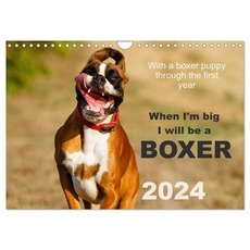 When I'm big I will be a Boxer / UK-Version (Wall Calendar 2024 DIN A4 landscape), CALVENDO 12 Month Wall Calendar