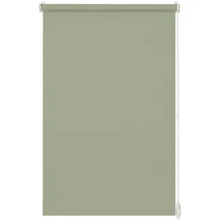 GARDINIA EASYFIX Rollo Uni 90 x 210 cm grün