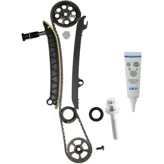 SKF Steuerkettensatz VKML 81306
