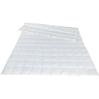 Traumina Novis Daune Einziehdecke WK 1 Größe 155x220 cm
