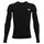 Armour UA HG Armour LS Shirt