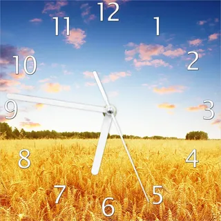 Wallario Design Wanduhr Weizenfeld unter blauem Himmel aus Echtglas, Größe 20 x 20 cm - Weiß