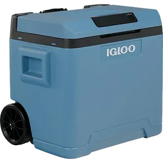 Igloo Kéhlbox Igloo IE42 DCAC 42 l