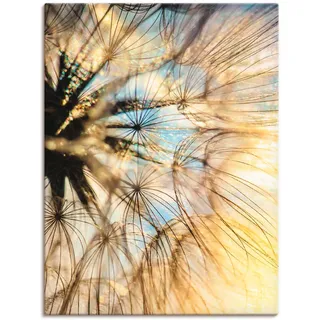 Artland Leinwandbild "Pusteblume Poesie" Blumen 1 Stk. tlg. auf Holzrahmen gespannt, farbe bild(er): goldfarben
