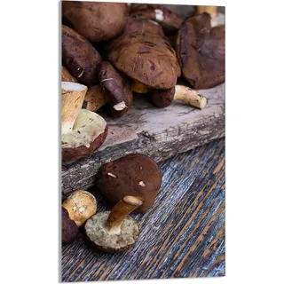 Herdabdeckplatte 30x52 Ceranfeld Abdeckung Spritzschutz Glasplatte Deko Schneidebrett, Steinpilze Holz