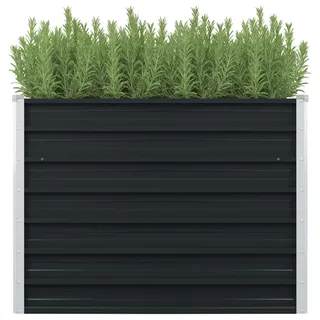 vidaXL Hochbeet 100 x 100 x 77 cm Grau