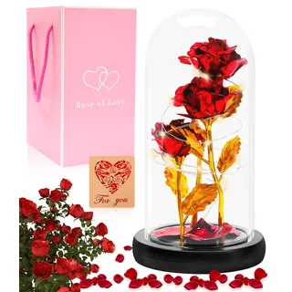 Ewige Rose im Glas, Rose Geschenke für Frauen, Die Schöne und Das Biest LED Licht Rosen im Glaskuppel Glitzer Rosen Geburtstags Geschenk für Frauen, Mama, Muttertagsgeschenke für Mama