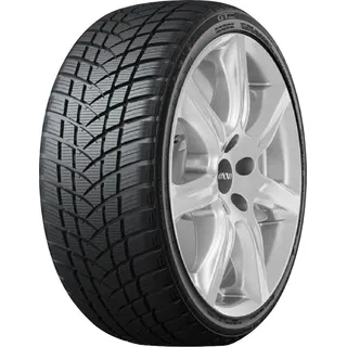 Winterpro 2 Sport 235/55 R17 103V