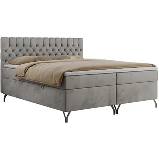 MKS Meble MKS Boxbett Grimaldi 180/200 Hellgrau Velvet - H3 - Textil - H3 - 7-Zonen - Rechteckig , 180x200, cm , Schlafzimmer, Betten, Boxspringbetten