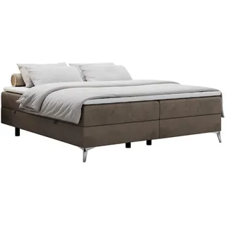 MKS Less 160 x 200 cm H3 Braun