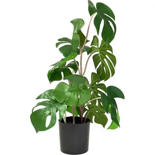VEA SRL Pflanze Gr. Monstera Tropical 45 cm 58709