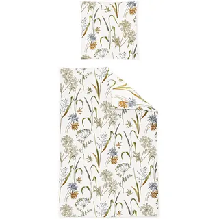 IRISETTE Bettwäsche Koala 8425 multi 135x200 cm + 80x80 cm