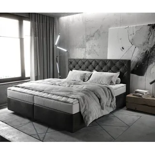 DeLife Dream-Great 180 x 200 cm Mikrofaser H2 Anthrazit