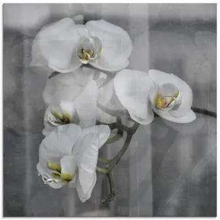 ARTland Glasbild »Weisse Orchideen - white Orchid«, Blumen, (1 St.), in verschiedenen Größen, schwarz