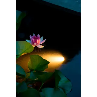 Ubbink Teichleuchte "AquaSpotlight 60", weiß
