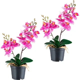 Creativ green Kunstorchidee »Orchidee Phalaenopsis« mit real-touch-Blüten, lila