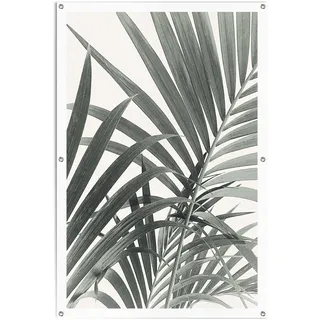 Poster REINDERS "Palmenblätter", grün (farbe bild(er): grün), B:80cm H:120cm T:0,1cm, Leinwand, Bilder, Poster, leichtes und wasserfestes Gartenposter für den Außeneinsatz