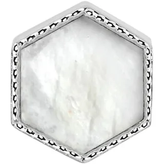Steel Pendant Drops SCZ1027 - Silber