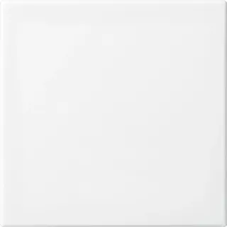 Busch-Jaeger Wippe 2506-914