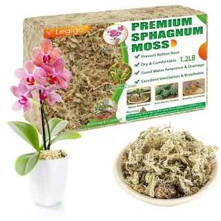 Legigo 500g Premium Sphagnum Moos - ergibt 25L Spagnummoos für Pflanzen | Speichert Wasser Torfmoos für Orchideen, Monstera, Sukkulenten, Fleischfressende Pflanzen & Stecklinge