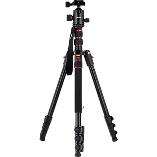 Rollei Compact Traveler No. 2