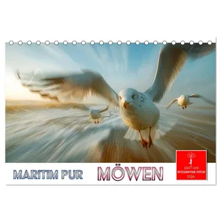 Maritim pur - Möwen (Tischkalender 2026 DIN A5 quer), CALVENDO Monatskalender: Unverkennbare Meeresvögel mit besonderem Charme. (CALVENDO Tiere)