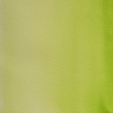 BlockX, Künstlerfarbe + Bastelfarbe, Aquarellfarbe Riesennapf (Saftgrün, 18 ml)