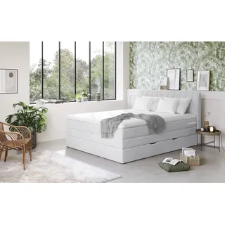 Cotta »Shark inkl. Bettkasten und Topper« erhältlich in den Breiten 140x200cm, 160x200cm und 180x200cm grau