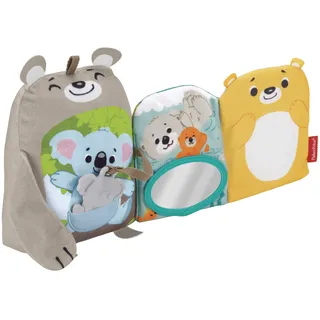 Fisher-Price GJD37