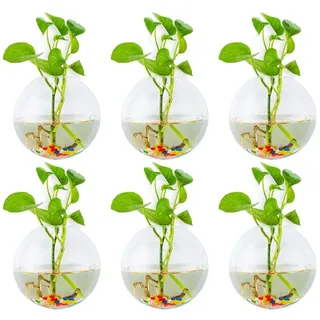Glasseam Wandbehang Glas Pflanzgefäße 6Stk. Sphärische Form Blumentöpfe Terrarium Behälter Vase mit 6,36 Unzen Bunte Steine ​​Indoor Outdoor für Hausgarten Büro Hochzeit