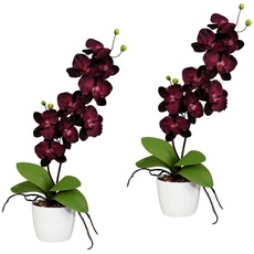 Bild Kunstpflanze »Orchidee Phalaenopsis«, im Keramiktopf, lila