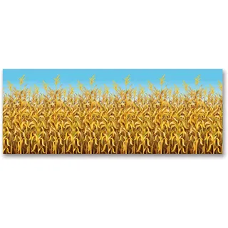 Beistle 90025 Cornstalks Kunststoff Wand Fotografie Ernte Danksagungsdekorationen Herbst Foto Booth Hintergrund, Plastic, Unzutreffend