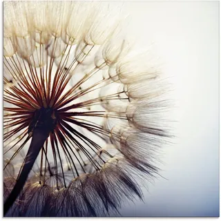 Artland Glasbild »Große Pusteblume«, Blumen, (1 St.), in verschiedenen Größen, blau