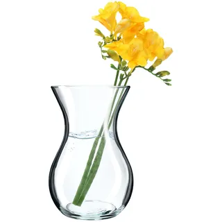 KADAX Blumenvase, 18cm Vase aus Glas, ⌀8cm Glasblumenvase mit einem 11cm Hals, Durchsichtige Tischvase, Klarglasvase, Glasvase für Blumen, Dekovase für Wohnzimmer