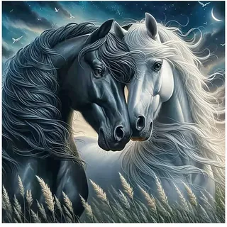 DCIDBEI DIY Diamond Painting Pferde Schwarz Weiß 40x40cm | Malen nach Zahlen Pferde 5D Diamant Malerei Kits Pferd Aufkleber Diamond Painting Pferd Stickbilder Horses Tiere