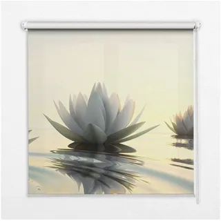 Tulup Rollo für Fenster mit Aufdruck Lotus Blume, Tulup, halbtransparent, Verschraubung, Bedruckt 60 cm x 140 cm