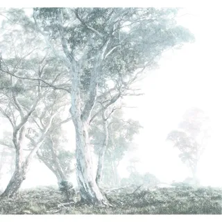 KOMAR Magic Trees 300 x 280 cm