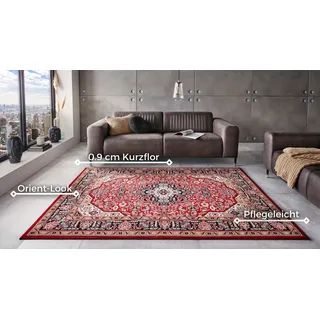 HANSE HOME Nouristan Orientalischer Kurzflor Teppich Skazar Isfahan Rot, 120x170 cm
