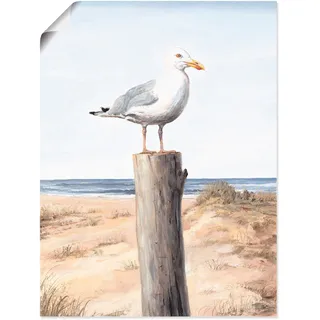 Artland Wandbild "Möwe" Vögel 1 Stk. tlg. als Alubild, Leinwandbild, Poster in verschied. Größen, farbe bild(er): weiß