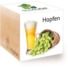 Feel 296343 Green Ecocube Hopfen, Nachhaltige Geschenkidee (100% Eco Friendly), Grow Your Own Craft Beer/Anzuchtset, Pflanzen Im Holzwürfel, Made in Austria