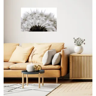Queence »Pusteblume« Selbstklebend, kinderleichte Anbringung,