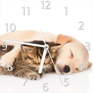Wallario Design Wanduhr Katze und Hund in Harmonie - Kuschelnde Tiere aus Echtglas, Größe 20 x 20 cm - Braun