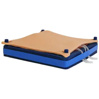 ERLERZIMMER Simulator für Hundekastrationen 1 Stück